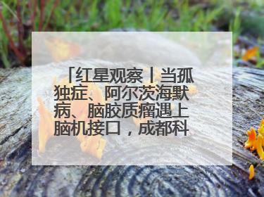 红星观察丨当孤独症、阿尔茨海默病、脑胶质瘤遇上脑机接口，成都科研改变医学图景