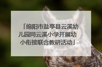 绵阳市盐亭县云溪幼儿园同云溪小学开展幼小衔接联合教研活动