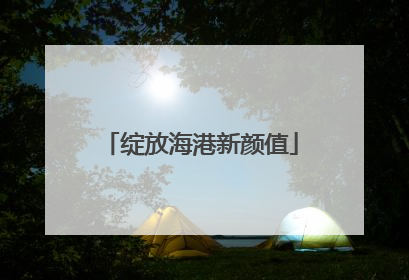 绽放海港新颜值