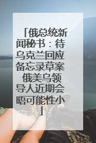 俄总统新闻秘书：待乌克兰回应备忘录草案 俄美乌领导人近期会晤可能性小