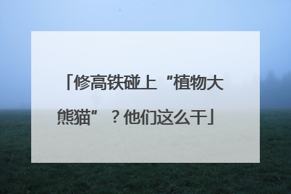 修高铁碰上“植物大熊猫”？他们这么干