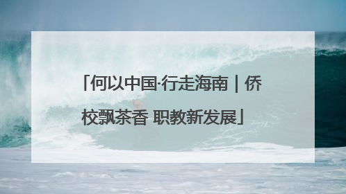 何以中国·行走海南｜侨校飘茶香 职教新发展