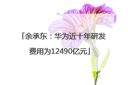 余承东：华为近十年研发费用为12490亿元