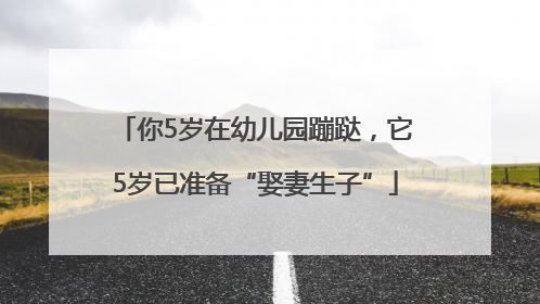你5岁在幼儿园蹦跶，它5岁已准备“娶妻生子”