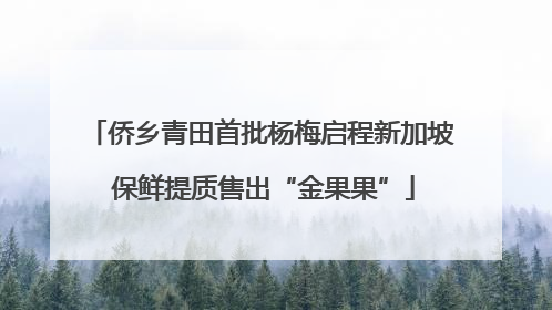侨乡青田首批杨梅启程新加坡 保鲜提质售出“金果果”