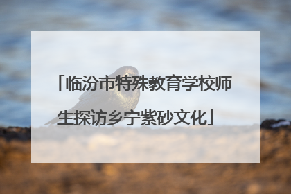 临汾市特殊教育学校师生探访乡宁紫砂文化