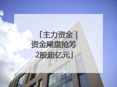 主力资金｜资金尾盘抢筹2股超亿元
