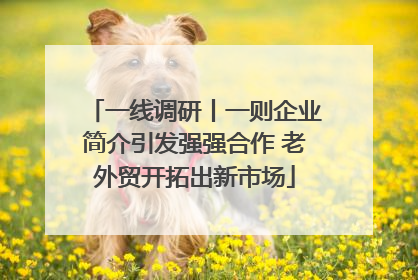 一线调研丨一则企业简介引发强强合作 老外贸开拓出新市场