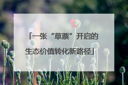 一张“草票”开启的生态价值转化新路径