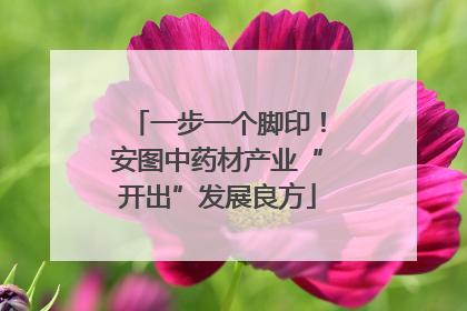 一步一个脚印！安图中药材产业“开出”发展良方
