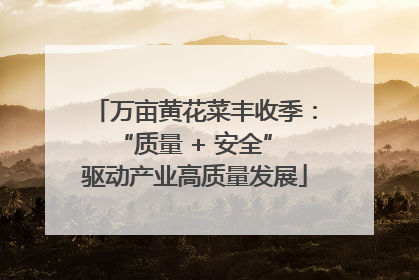 万亩黄花菜丰收季：“质量 + 安全” 驱动产业高质量发展