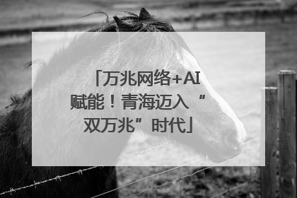 万兆网络+AI赋能！青海迈入“双万兆”时代