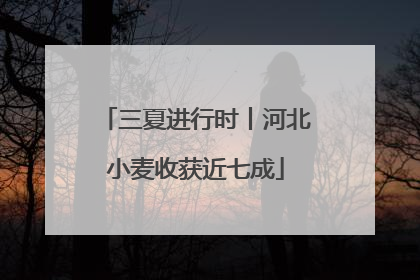 三夏进行时丨河北小麦收获近七成