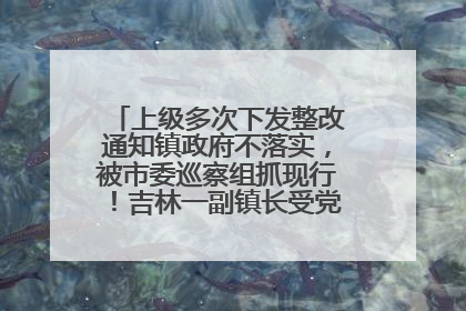 上级多次下发整改通知镇政府不落实，被市委巡察组抓现行！吉林一副镇长受党内警告处分