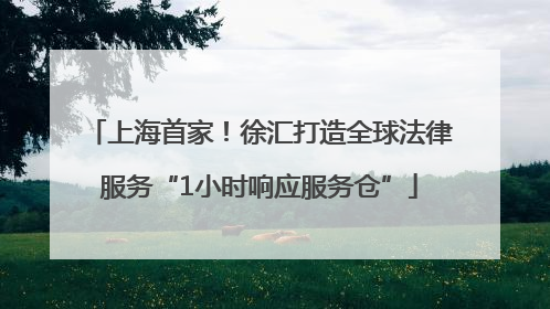 上海首家！徐汇打造全球法律服务“1小时响应服务仓”