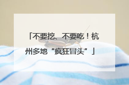 不要挖、不要吃！杭州多地“疯狂冒头”