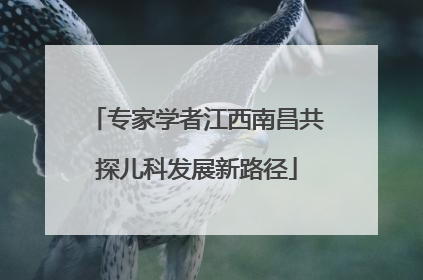 专家学者江西南昌共探儿科发展新路径