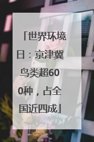 世界环境日：京津冀鸟类超600种，占全国近四成