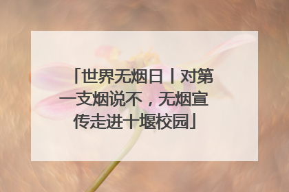 世界无烟日丨对第一支烟说不，无烟宣传走进十堰校园
