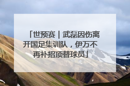 世预赛｜武磊因伤离开国足集训队，伊万不再补招顶替球员