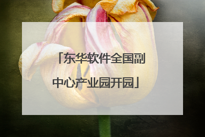 东华软件全国副中心产业园开园