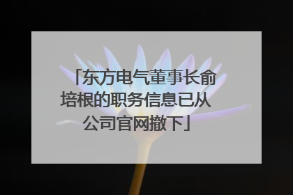 东方电气董事长俞培根的职务信息已从公司官网撤下