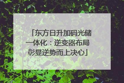 东方日升加码光储一体化：逆变器布局彰显逆势而上决心