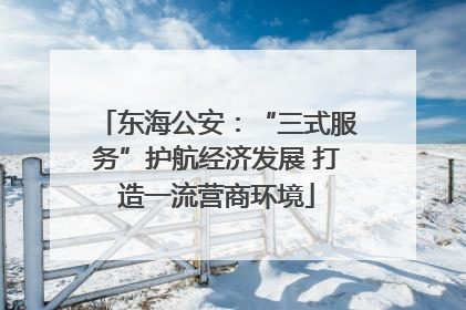 东海公安：“三式服务”护航经济发展 打造一流营商环境