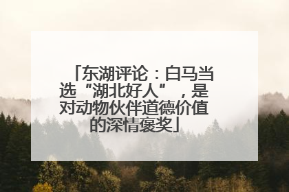 东湖评论：白马当选“湖北好人”，是对动物伙伴道德价值的深情褒奖