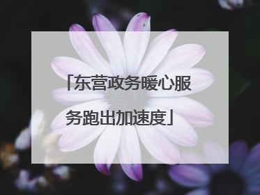 东营政务暖心服务跑出加速度