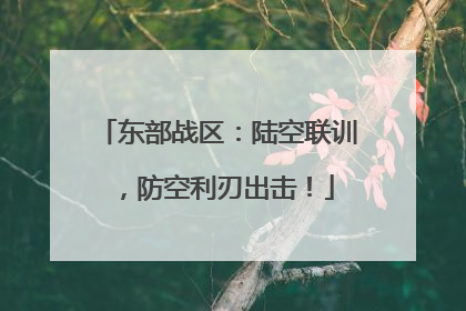 东部战区：陆空联训，防空利刃出击！
