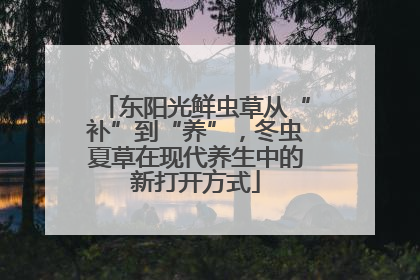 东阳光鲜虫草从“补”到“养”，冬虫夏草在现代养生中的新打开方式