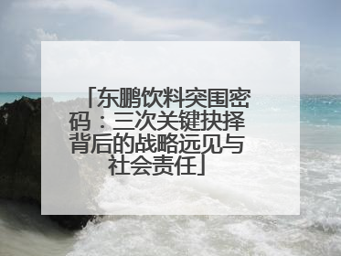 东鹏饮料突围密码：三次关键抉择背后的战略远见与社会责任