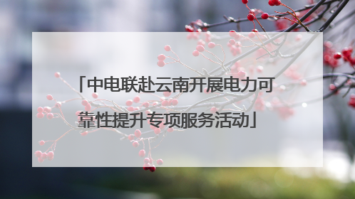 中电联赴云南开展电力可靠性提升专项服务活动
