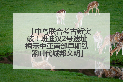 中乌联合考古新突破！班迪汉2号遗址揭示中亚南部早期铁器时代城邦文明