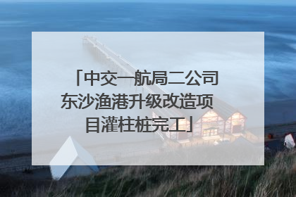 中交一航局二公司东沙渔港升级改造项目灌柱桩完工