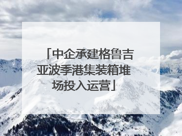 中企承建格鲁吉亚波季港集装箱堆场投入运营