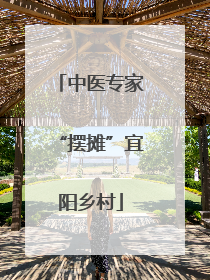 中医专家“摆摊”宜阳乡村