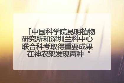 中国科学院昆明植物研究所和深圳兰科中心联合科考取得重要成果 在神农架发现两种“国保”级兰花