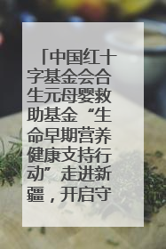 中国红十字基金会合生元母婴救助基金“生命早期营养健康支持行动”走进新疆，开启守护母婴新篇章！