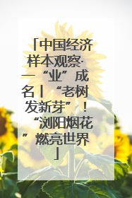 中国经济样本观察·一“业”成名丨“老树发新芽”！“浏阳烟花”燃亮世界