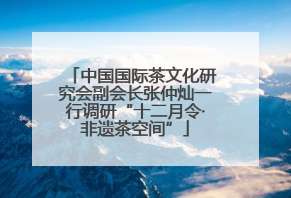 中国国际茶文化研究会副会长张仲灿一行调研“十二月令·非遗茶空间”
