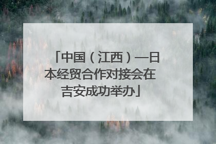 中国（江西）—日本经贸合作对接会在吉安成功举办