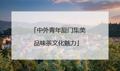 中外青年厦门集美品味茶文化魅力