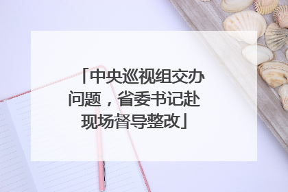 中央巡视组交办问题，省委书记赴现场督导整改