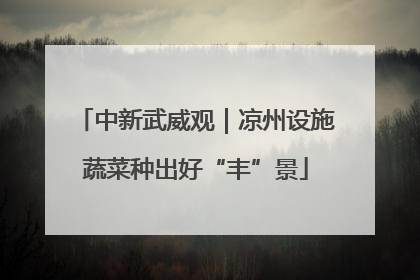 中新武威观｜凉州设施蔬菜种出好“丰”景