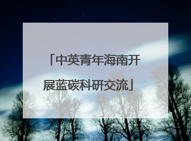 中英青年海南开展蓝碳科研交流