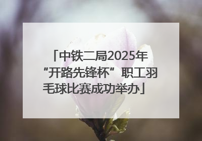 中铁二局2025年“开路先锋杯”职工羽毛球比赛成功举办