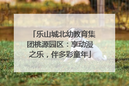 乐山城北幼教育集团桃源园区：享动漫之乐，伴多彩童年