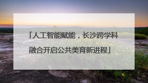 人工智能赋能，长沙跨学科融合开启公共美育新进程